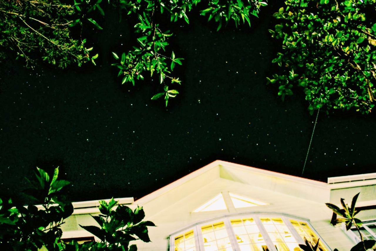 AMAMI-Green-Garden Exterior foto